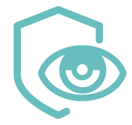 Shadow IT Icon Graphic